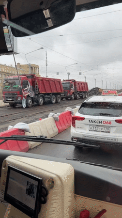 Saint Petersburg witness documents cats and rainy morning streets