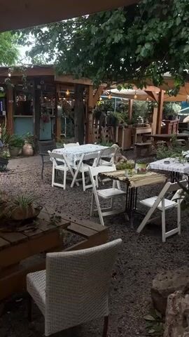 The video shows a peaceful outdoor seating area. Gravel covers the ground, and various tables and chairs are arranged. There's a wooden picnic table with three glasses of yellow liquid and a potted plant on top.  Several white folding chairs surround a nearby table covered with a white lace tablecloth.  In the background is a wooden structure with string lights, presumably a bar or serving area, where people can be seen. Plants and flowers in pots decorate the area. Trees provide shade overhead, and the overall atmosphere is relaxed and inviting.