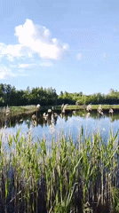 Quiet afternoon documented in Russian village of Снопок Новый