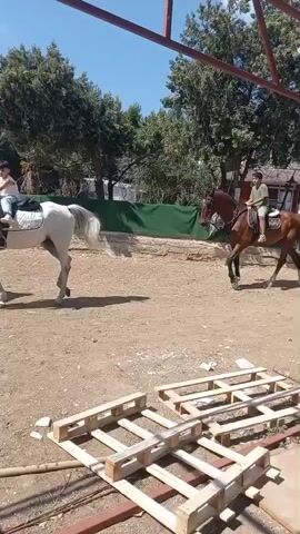 A person is riding a brown horse in an outdoor arena. The horse is walking to the right. In the background, there are trees and a building. In the foreground, there are wooden pallets. Another white horse is walking to the left in the background.