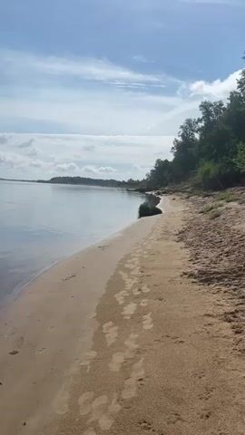 The video shows a sandy riverbank with footprints leading away from the water. The river is wide and calm, reflecting the blue sky with scattered white clouds. On the right side of the frame, there is a line of green trees and vegetation along the riverbank. The scene is tranquil and appears to be an outdoor natural setting.