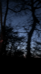 Portrait captured from low angle in Tunbridge Wells