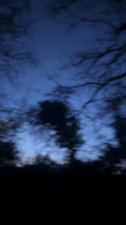 Portrait captured from low angle in Tunbridge Wells