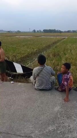 A group of people are in a field. A young man, shirtless and wearing green shorts, stands on a concrete edge holding a kite string. Next to him is a large black and white kite that has fallen on the ground. Another man, wearing a striped shirt and a crossbody bag, sits on the concrete edge. A young boy in a colorful shirt and blue jeans is also sitting on the concrete edge. The field appears to be a rice paddy, with green and yellow stalks of rice. The sky is overcast.