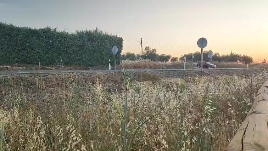 The video shows a rural road at dusk. A white car is driving on the road from left to right. In the background, there is a hedge on the left side of the road and trees on the right side. The sky is a pale orange color. The foreground is filled with tall grass and some wooden fencing. Another car, dark in color, is driving on the road in the distance, also from left to right. Traffic signs are visible along the road. The overall impression is of a calm, rural scene at the end of the day.