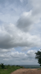 Man documented in rural Achara Nigeria amid tropical vegetation