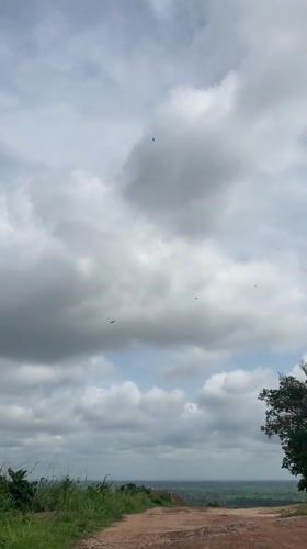 Man documented in rural Achara Nigeria amid tropical vegetation