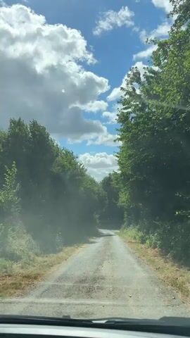 The video shows a view from inside a vehicle, looking forward along a narrow, unpaved road. The road is flanked by dense green trees on both sides, creating a tunnel-like effect. The sky above is blue with scattered white, fluffy clouds. Sunlight streams through the trees, casting shadows and creating a bright, airy atmosphere. Dust is kicked up from the road on the left side of the frame, likely due to the vehicle's movement. The road appears to curve slightly ahead. The bottom of the frame shows the dashboard or hood of the vehicle. The overall impression is a scenic drive through a wooded area on a sunny day.