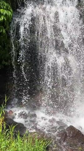 A vertical video displays a close-up of a waterfall. Water cascades down a dark, rocky surface, creating a foamy splash at the bottom. Lush green grass grows in the foreground, bordering the rocks and the base of the waterfall. The water appears white and frothy as it falls and hits the rocks.