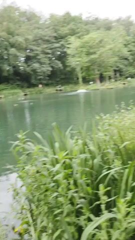 A view of a lake and green grass. The camera pans from left to right, showing more of the lake and surrounding trees. There are several small docks along the lake shore, and a fountain in the middle of the lake.