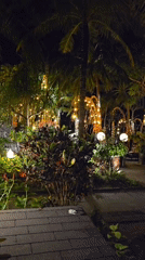 Illuminated tropical garden space observed in Denpasar at night