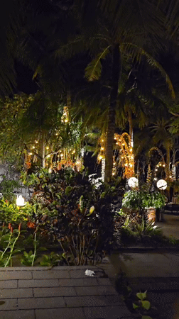 Illuminated tropical garden space observed in Denpasar at night