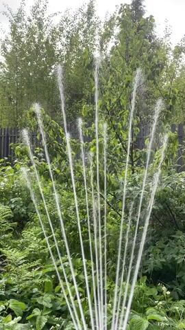 A stationary medium shot captures a sprinkler system operating in a lush garden. The system emits multiple thin, white streams of water that fan out upwards and outwards from the bottom center of the frame, arcing slightly before descending back into the green foliage. The water streams are consistent in their flow. The garden features various plants, including ferns, large leafy plants, and smaller green ground cover. In the background, taller trees with green leaves are visible, and behind them, a dark wooden fence runs horizontally. The sky is overcast and light, indicating either a cloudy day or soft daylight. The overall scene is peaceful and displays active irrigation in a natural setting.
