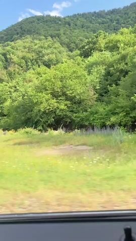 This video showcases a scenic drive through a lush, green natural landscape. The primary subject is the vibrant vegetation, with rolling hills covered in dense forests of deciduous trees. A dirt or gravel road is visible in the foreground, indicating the path of travel. The scene is bathed in bright daylight under a clear blue sky with scattered white clouds, suggesting fair weather.

The camera appears to be mounted inside a vehicle, as evidenced by the partial view of the car's interior dashboard and window frame at the bottom of the frame. The perspective is that of a passenger observing the passing scenery. The movement of the vehicle creates a slight motion blur in the foliage, emphasizing the sense of journey.

While no people are directly visible, the presence of a road implies human activity and travel. The overall mood is serene and peaceful, with the rich greenery evoking a sense of natural beauty and tranquility. The location, identified as Haghartsin, Armenia, suggests a mountainous or hilly region with abundant natural growth. There is no visible text within the video frames. The activity depicted is simply a drive through a beautiful natural environment.