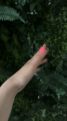 Pink nails, two rings, and a vape in Riga