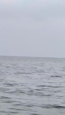 The video shows a body of water with a horizon line in the distance under a cloudy sky. As the video progresses, a distant shoreline with hills becomes visible. In the later part of the video, a small group of vehicles or structures appear on the shoreline. The water is calm with small ripples, suggesting a gentle breeze or slow movement. The lighting indicates it is either early morning or late afternoon. There are no visible people or animals.