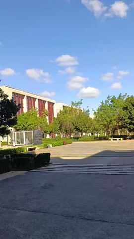 The video shows an outdoor scene on a sunny day with a blue sky and scattered clouds. It begins with a view of a paved area, trees, a lawn, and a street in the distance. A trash can is visible in the foreground. The camera pans slightly to the right to reveal a road with a person wearing an orange safety vest standing near a crosswalk. Cars are driving on the road. The camera continues to pan further right, showing a grassy area, a sidewalk, small trees, and buildings in the background. Some parked cars are visible alongside one of the buildings.