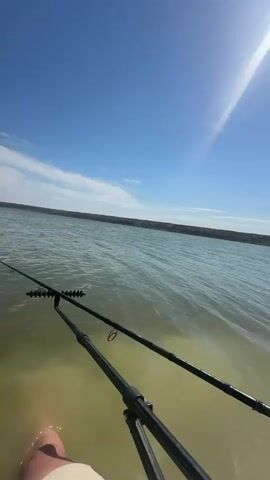 The video shows a low-angle, first-person view of a person sitting in water, likely in a lake or large body of water. The person is wearing light-colored shorts and has two fishing rods positioned in front of them, held in place by a black rod rest. A black mesh net is positioned to the left, and in front of the person is a small table with a tray containing orange bait, along with several colorful round containers. The water appears slightly murky, and there's a breakwater or a line of rocks visible in the distance. Beyond that, there's land with trees and vegetation. The sky is bright blue with some scattered white clouds and the sun is shining brightly. The camera slowly pans upward to show more of the landscape.