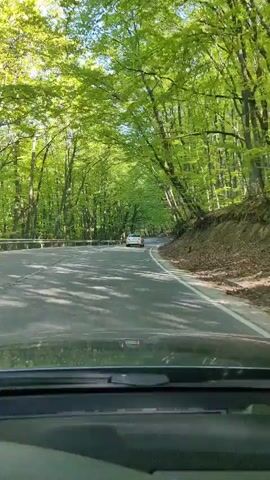 A vehicle is driving on a paved road through a forest. The trees on either side of the road are tall and have green leaves, creating a canopy overhead. Another car is ahead on the road. The video is shot from inside the vehicle, looking out through the windshield.