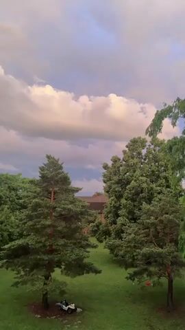 The video shows a view of a yard with several trees, a building in the background, and a cloudy sky. In the foreground, there is a pine tree on the left and another tree on the right. A small, white four-wheeled vehicle is parked near the base of the pine tree. The sky is filled with clouds, some of which are illuminated by the sun. The overall scene appears to be outdoors and peaceful.