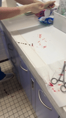 Medical scene with bloodied instruments documented in Tourcoing