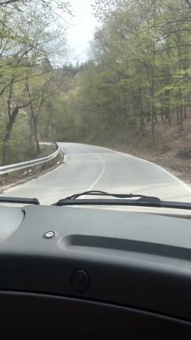 The view from inside a vehicle shows a paved road winding through a forest. The road has a single white line down the center and a metal guardrail on the left side. Trees with green foliage line both sides of the road. The sky is overcast. The dashboard of the vehicle is visible in the foreground.