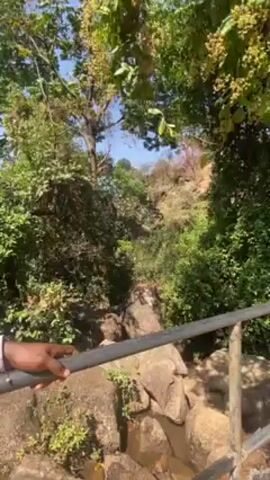 A person stands behind a metal railing looking at a landscape. The person has dark skin and wears a light-colored, long-sleeved shirt. The landscape consists of a rocky hillside covered in trees and foliage. The sun is shining, and the sky is visible through the trees. The railing is in the foreground, and the person is holding onto it with one hand.