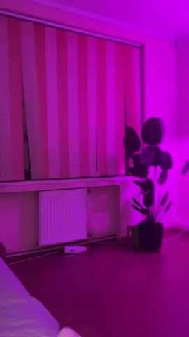 The video captures an indoor scene illuminated by purple lighting. On the left, a large potted plant with dark green, heart-shaped leaves stands near a radiator covered by striped blinds. A white cord trails from the radiator area. In the center-right, a dark dresser is topped with a metal shelf unit containing several potted plants. Two grow lights are attached to the shelf unit, casting light on the plants. The floor is a dark red.