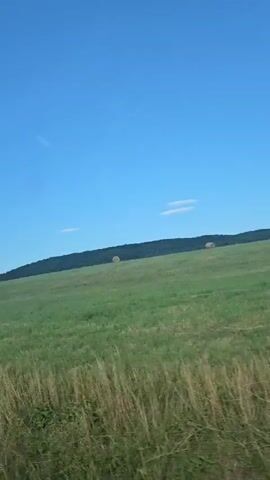 The video shows a view from a vehicle moving through a grassy field. The sky is clear and blue. There are hay bales visible in the distance on a sloping hillside.