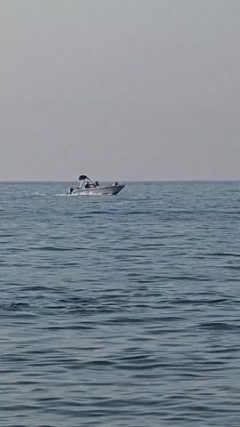 A speed boat travels across calm blue water under a hazy sky. A person is swimming in the water in the foreground. A yellow buoy floats near the boat.