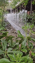 Visitor documents Budva's waterfall feature and mountain scenery