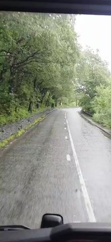 A dashcam view of a wet asphalt road winding through a dense forest. Trees with lush green foliage line both sides of the road. The sky is overcast, and the road surface shows signs of recent rain, with puddles and reflections visible. The road has white dashed lines marking the lanes. The camera appears to be mounted on a vehicle moving forward. There are no people or other vehicles visible in the frame. The scene conveys a sense of a serene, yet damp, journey through nature.