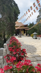 Morning visit documented at Trúc Lâm Buddhist temple, Da Lat