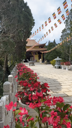 Morning visit documented at Trúc Lâm Buddhist temple, Da Lat