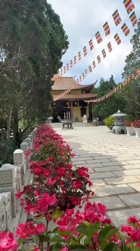 Morning visit documented at Trúc Lâm Buddhist temple, Da Lat