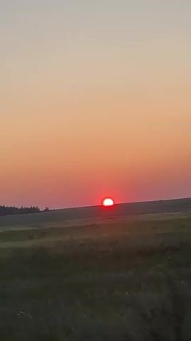 The video captures a sunset over a grassy field. The sun, a bright red orb, is setting on the horizon, partially obscured by a line of trees in the distance. The sky is a gradient of orange and pink hues. The field is covered in green and yellow grasses, with some wildflowers visible in the foreground. The sun appears to be sinking lower as the video progresses.