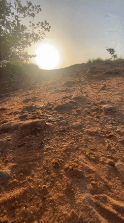 Early morning walk with fishing gear in rural Nigeria