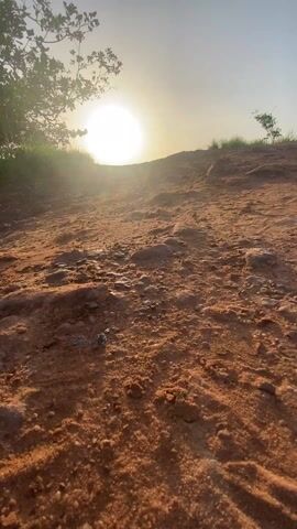 The video captures a low-angle view of a rocky, red dirt path leading uphill toward the sun. The sun, a bright, round orb, sits low on the horizon, casting a glare and making details near it difficult to discern. To the left of the path, a tree with sparse foliage and some grass grows. The environment is sunny, and the path is covered with loose dirt, rocks, and some vegetation. There are no people visible in the frame, and the camera remains static throughout the short duration of the video.