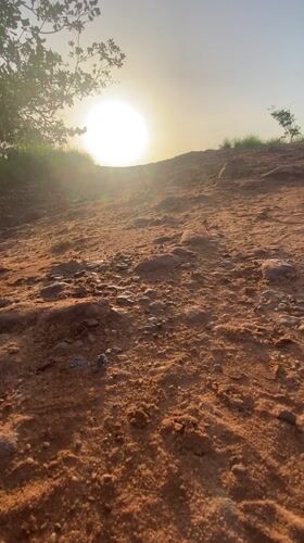 Early morning walk with fishing gear in rural Nigeria