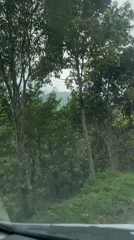 Drive through lush Indonesian mountains reveals tiered hilltop structure