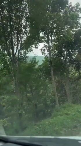 Drive through lush Indonesian mountains reveals tiered hilltop structure