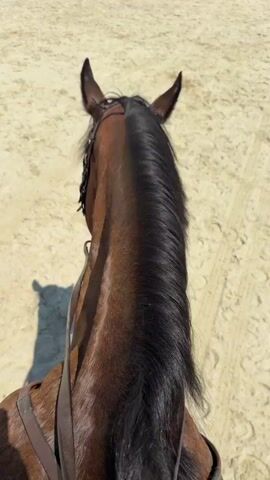 This is a first-person perspective video taken from horseback. The video shows the neck and head of a brown horse with a dark mane. In the background, there is a sandy equestrian arena with jumps set up. The jumps appear to be part of a show jumping course. The ground is covered in light-colored sand with tire tracks visible, suggesting recent activity. In the far background, there are buildings and some fencing. The lighting indicates it is daytime, likely sunny.