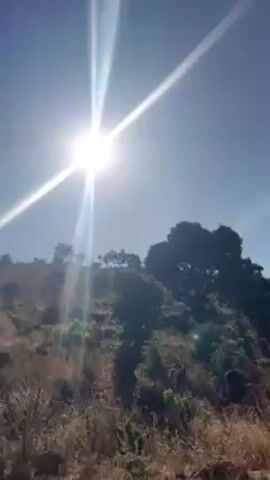 The video shows a sunny day with a cloudless blue sky. The sun is shining brightly, causing lens flare. Below, a landscape is visible. There is dry, brown grass in the foreground. A hillside rises behind the grass, with a mix of trees and shrubs growing on it. Some of the trees appear bare, while others have green leaves. The camera seems to be in motion, panning upwards to follow the terrain. A soundtrack with music and speech can be heard.