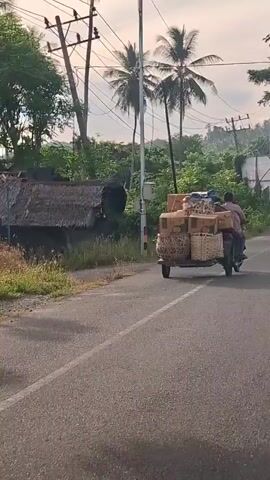 A person is riding a motorcycle with a trailer attached, carrying a load of boxes and baskets. The motorcycle is moving down a paved road, with trees and utility poles visible in the background. The sky appears overcast.