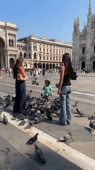 Feeding pigeons on a sunny Milan plaza near the Duomo