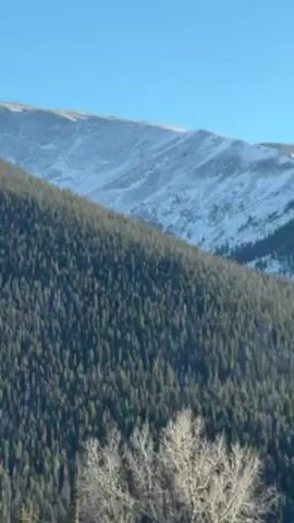 The video shows a mountain landscape, partially covered with snow. The lower part of the mountain is covered with a dense forest of evergreen trees. The sky above is clear and blue.  A car passes by in the foreground of the video, with its brake lights illuminated.