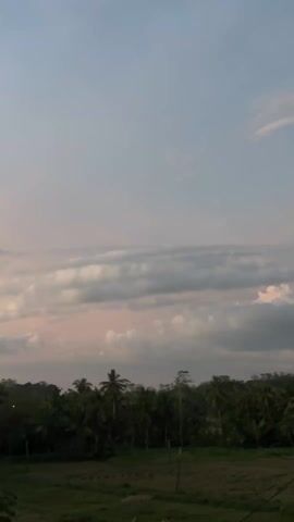 The video shows a low-angle view of a tree-lined horizon with a colorful sunset. At the beginning, the sky is light with a few clouds, transitioning from pink to orange as the video progresses. The camera moves as it films, blurring the landscape. The trees are silhouetted against the setting sun. The field in the foreground is green.