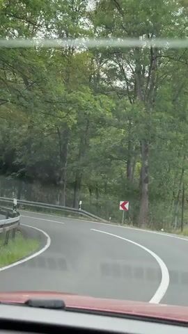 The video shows a view from inside a car looking forward at a winding road through a forest. The road has a white line marking the edge and a guardrail on the left side. There are trees on both sides of the road, with dense foliage creating a green canopy overhead. A traffic sign indicating a sharp turn to the right is visible on the right side of the road. The road appears wet, suggesting recent rain. The car's dashboard is partially visible at the bottom of the frame.