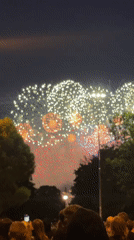 Fireworks light up the night sky during a June celebration
