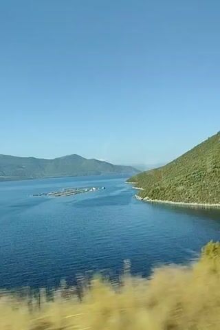 The video pans across a tranquil blue bay under a clear sky. The bay is flanked by lush green, tree-covered mountains that form a dramatic backdrop. In the foreground, the edge of a grassy embankment is visible, along with the blurred silhouette of a tall, slender evergreen tree. In the middle ground, a cluster of white structures, possibly a fish farm or a small settlement, floats on the water, creating a geometric pattern against the vast expanse of the sea. The water is calm, reflecting the sky and the surrounding landscape. The camera movement is smooth, suggesting a journey by boat or from a moving vehicle.